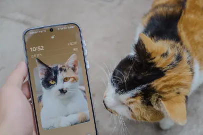 Vesper Casino Mobile App